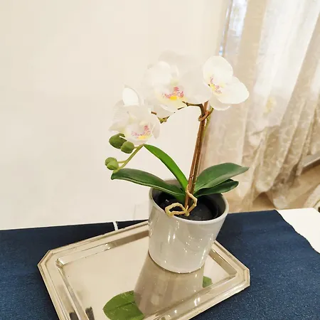 La Piccola Bomboniera Di Nord Appartement Milan
